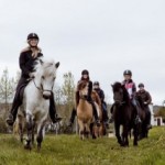 Horse rental